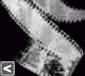 pelloche_inv.gif